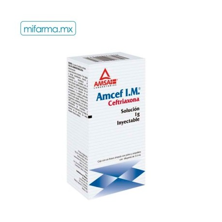Amcef Ceftriaxona IM 1g AMSA