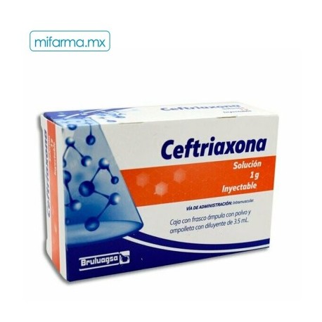 Ceftriaxona 1g IM de Bruluagsa